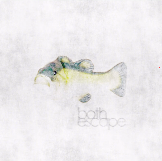 Fish single artwork